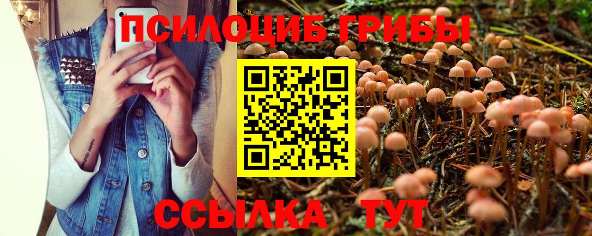 Псилоцибиновые грибы Magic Shrooms  Вход с VPN  Брянск 